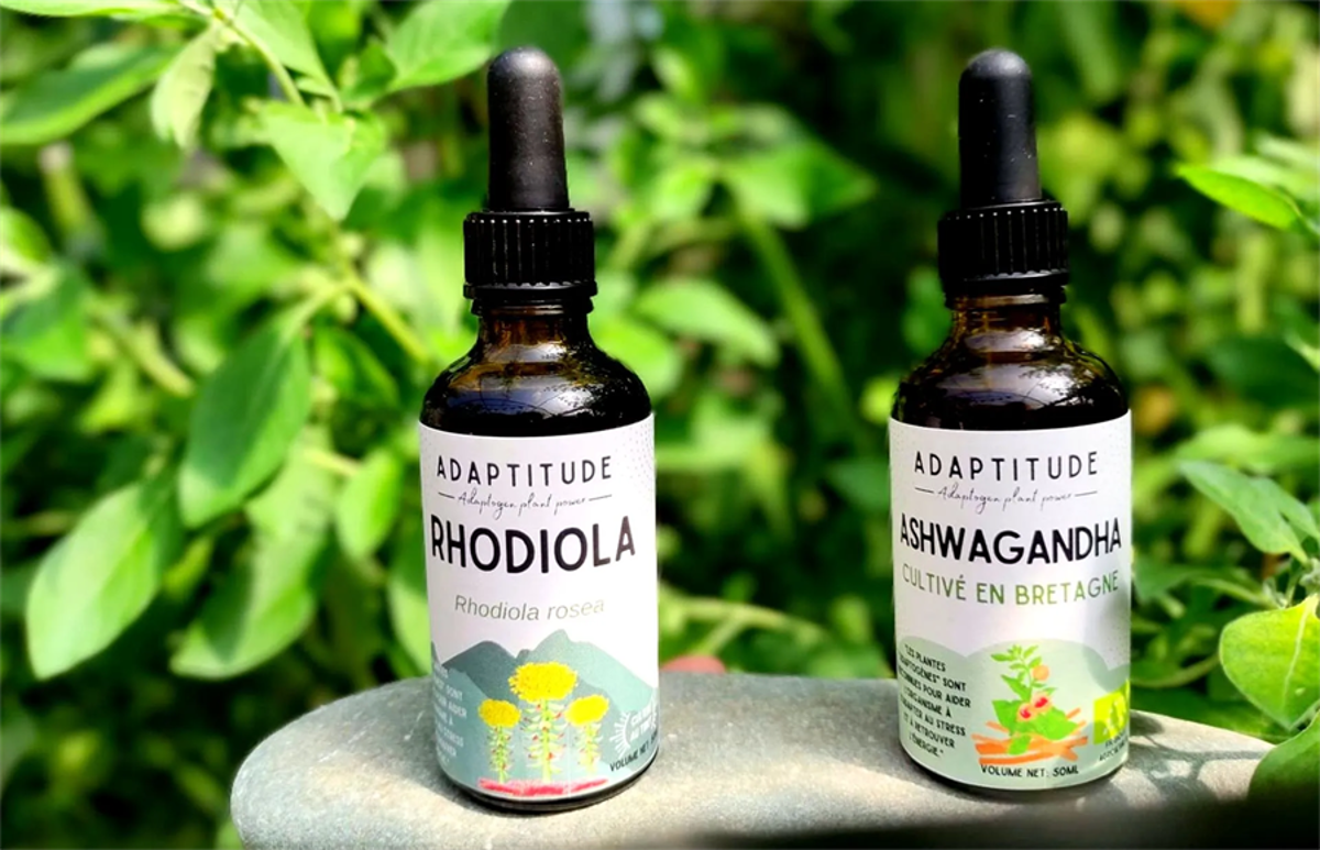 Ashwagandha ou Rhodiola, lequelle choisir ?