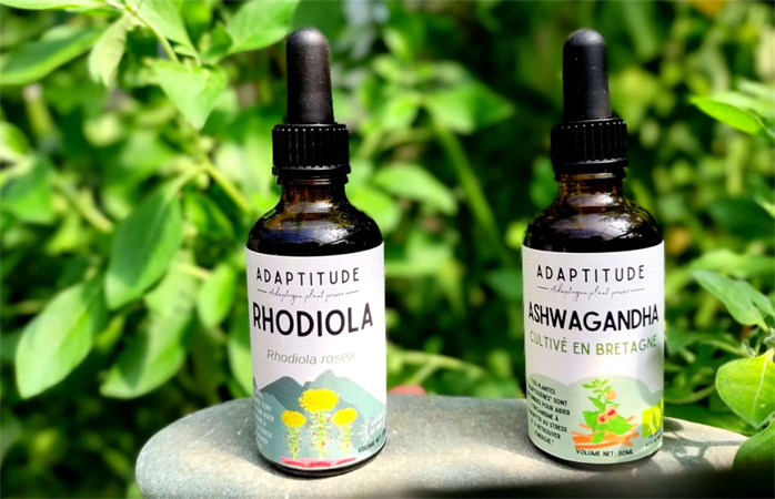 Ashwagandha ou Rhodiola, lequelle choisir ?
