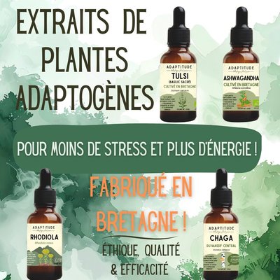Adaptogènes