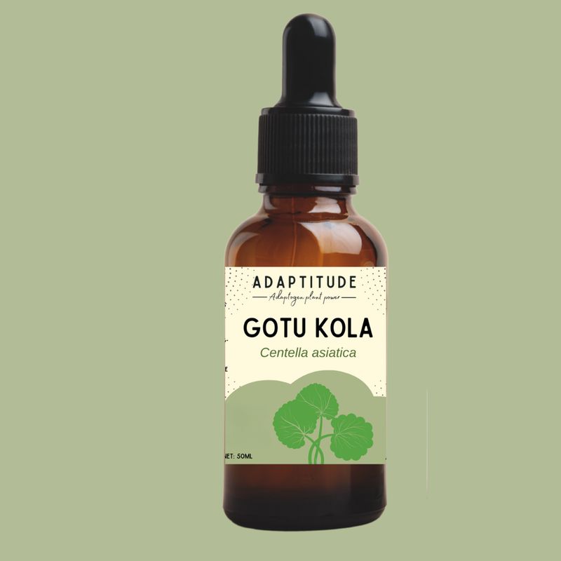 Extrait de Gotu kola (50ml) - Tiboom