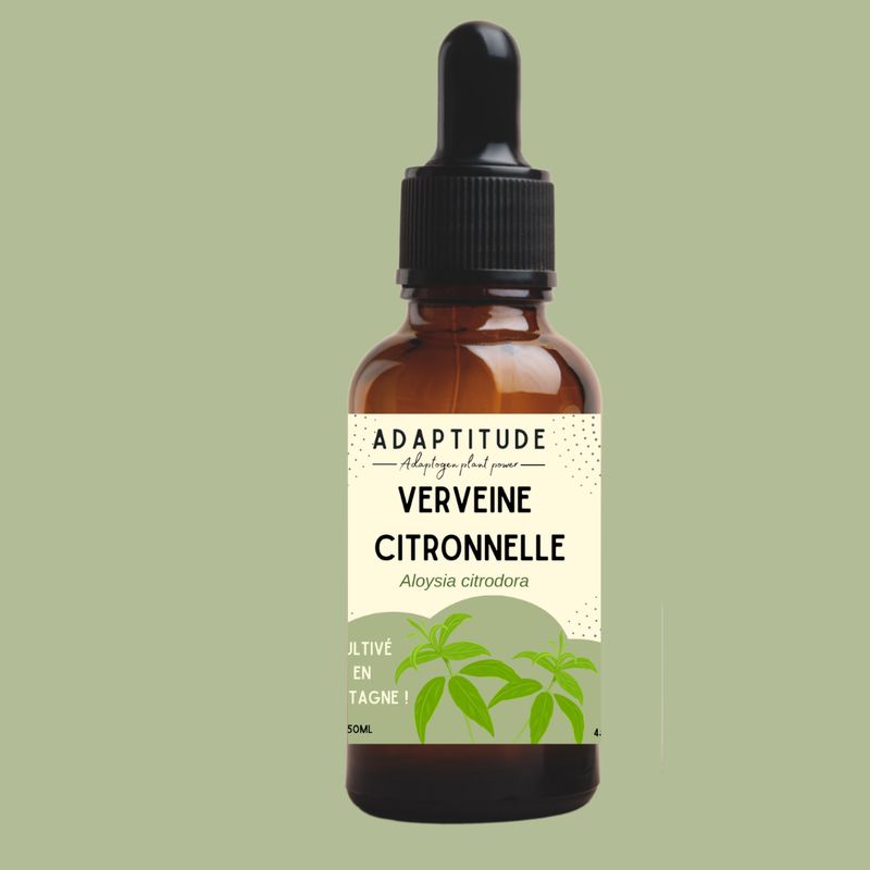 Extrait de Verveine citronnelle locale (50ml) - Tiboom