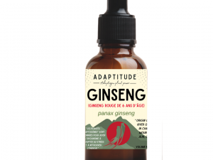 Ginseng